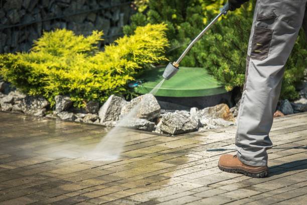Best Spring Cleaning  in Old Greenwich, CT